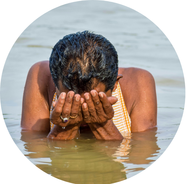 Santa Hierba Panama Banos espirituales limpiezas esoterica Carpintero